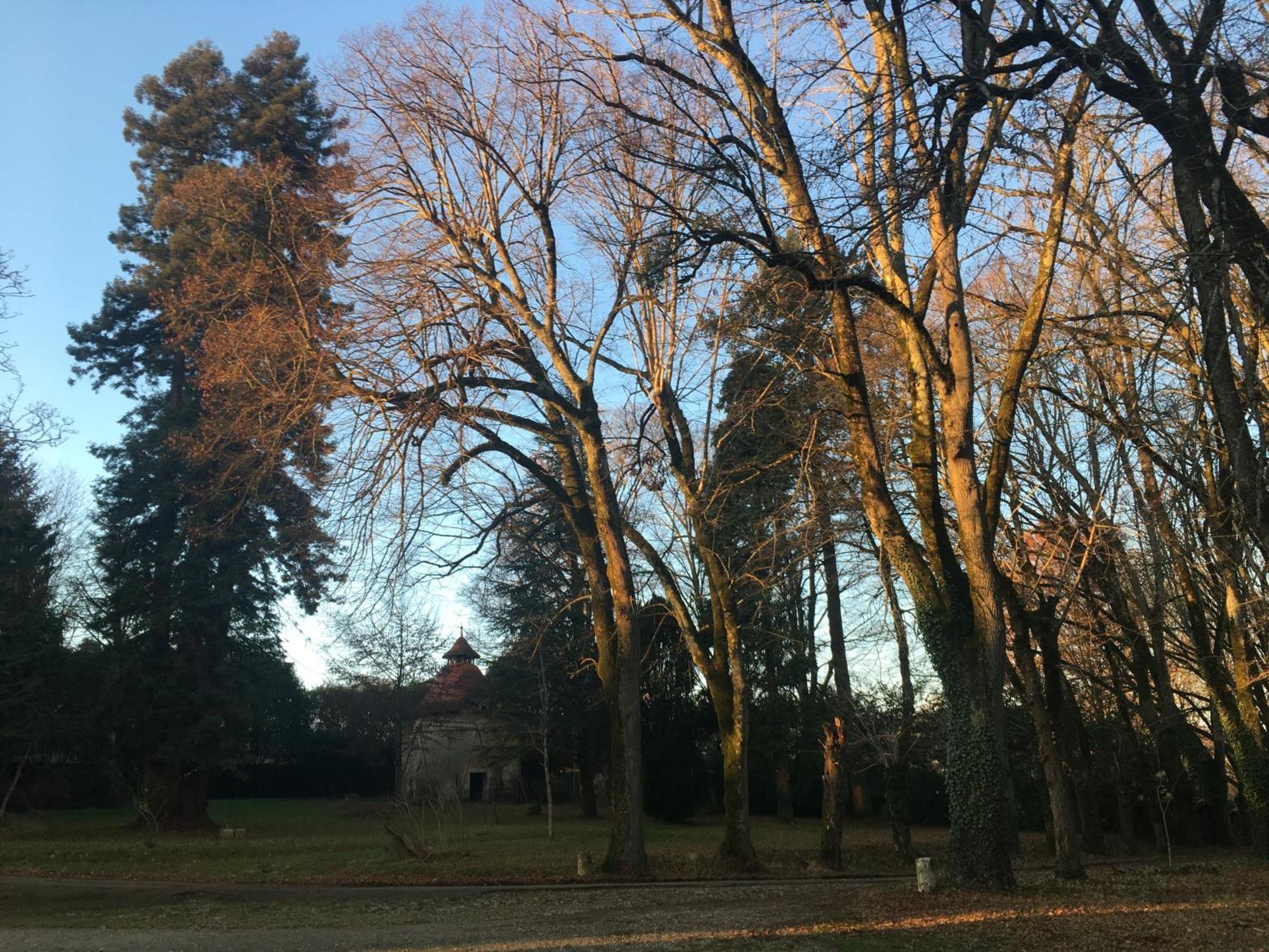 Chateau De Chasseneuil Sur Bonnieure Esterno foto