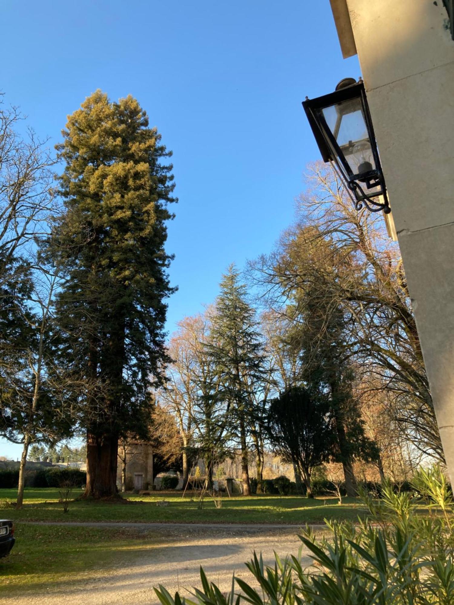 Chateau De Chasseneuil Sur Bonnieure Esterno foto